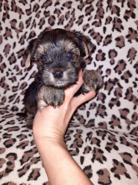 Мальчишки ищут дом Одесса