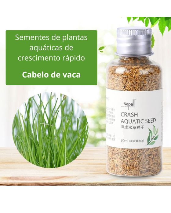 Sementes para aquario