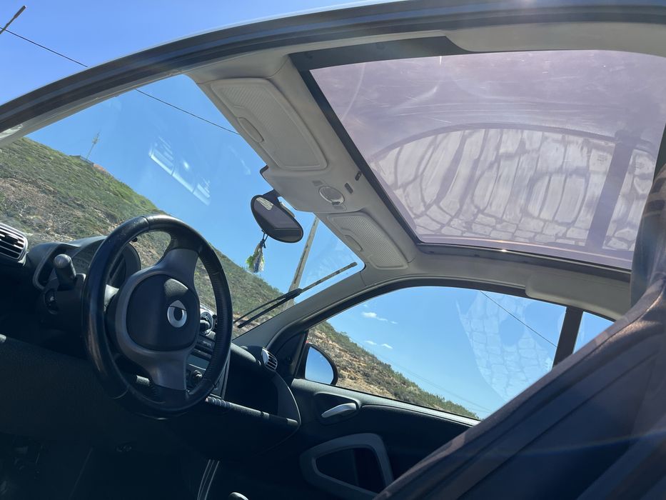 Smart 451 Passion