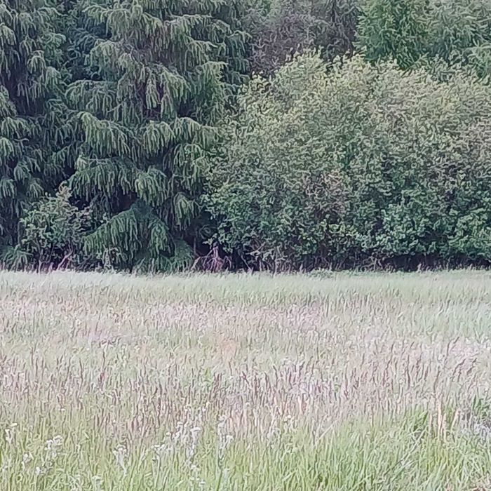 Sprzedam działkę