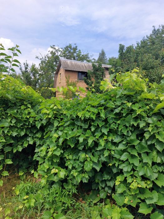 Продам дом в Глевахе. Владелец. 35000$