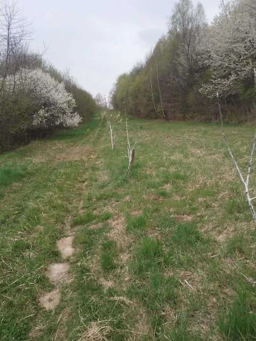 Działka rekreacyjna służąca jako miejsce ucieczkowe Rybna