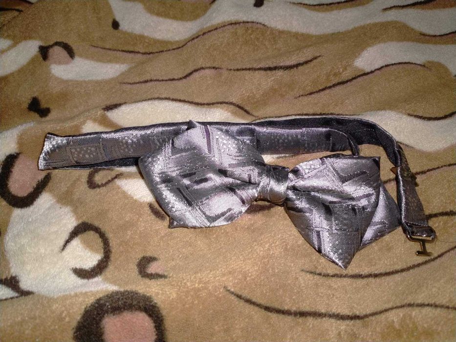 стильний сріблястий метелик (Німеччина)