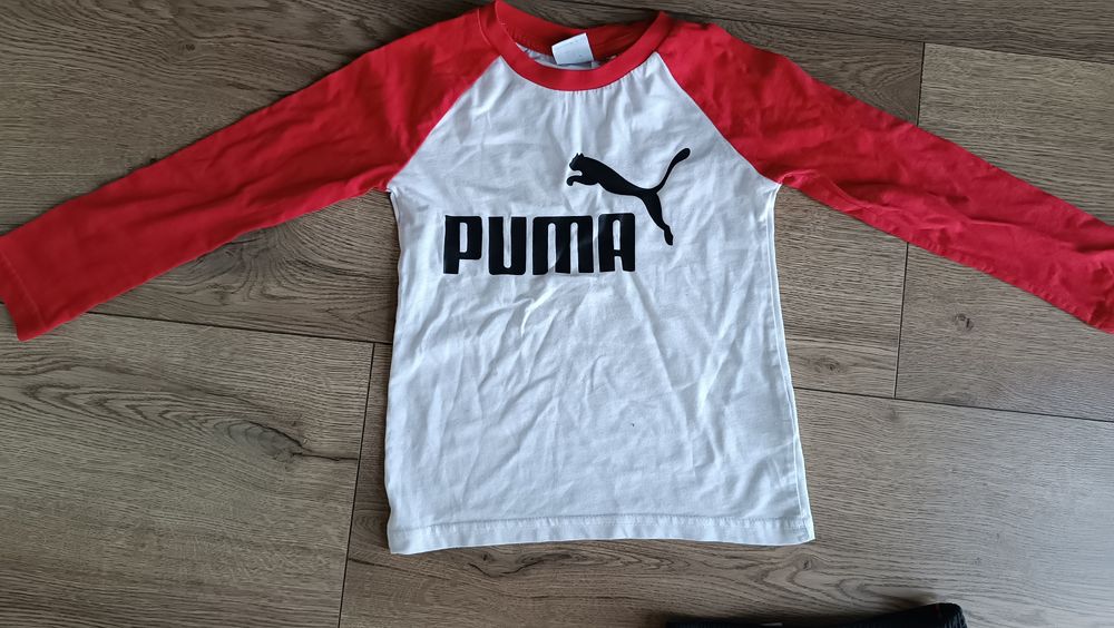 Zestaw puma dla chłopca r. 104