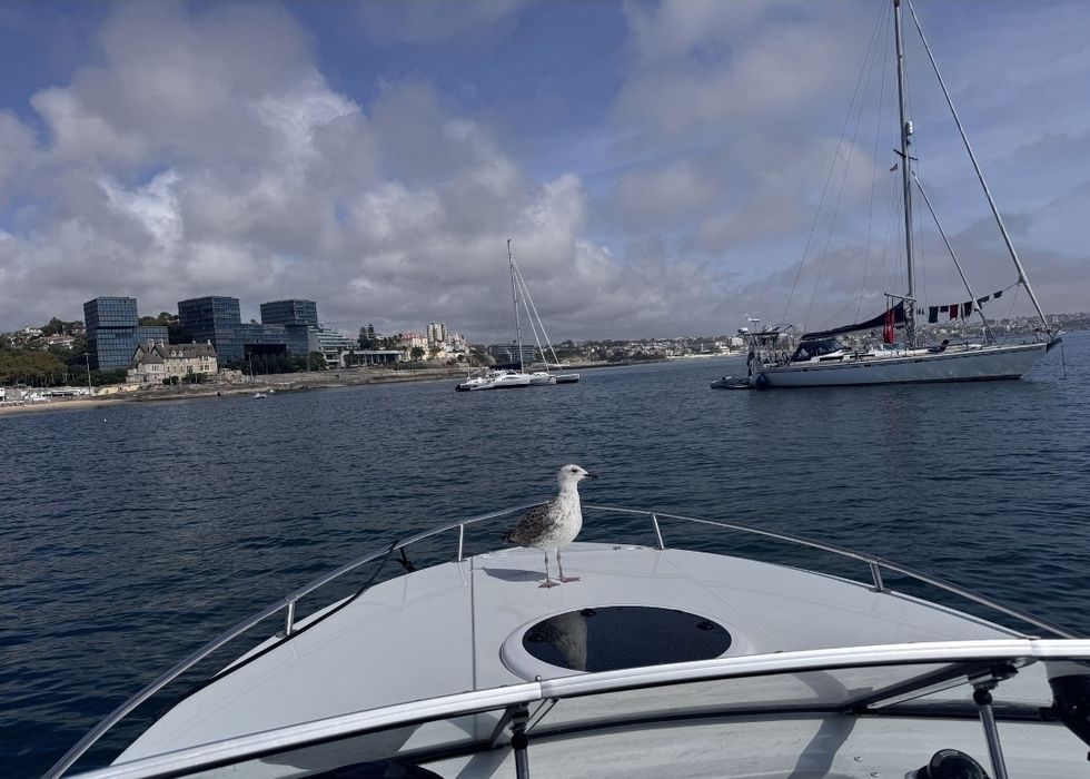 Barco Four Winns Sundower Mercruiser com Marina