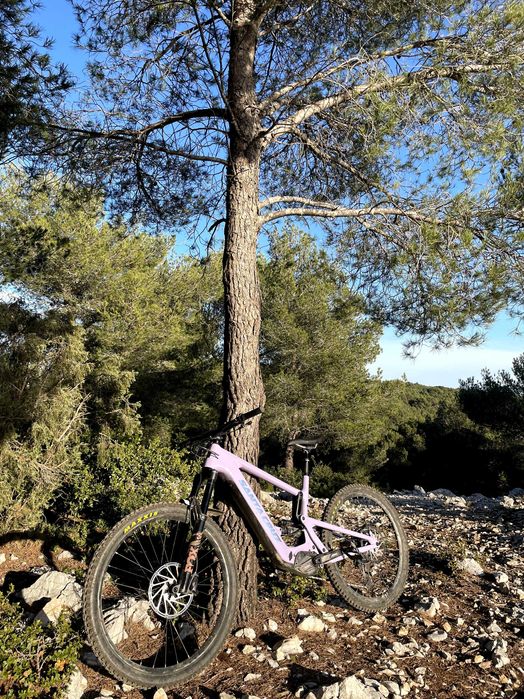 Santa Cruz Bullit 3CC KIT S T-XL