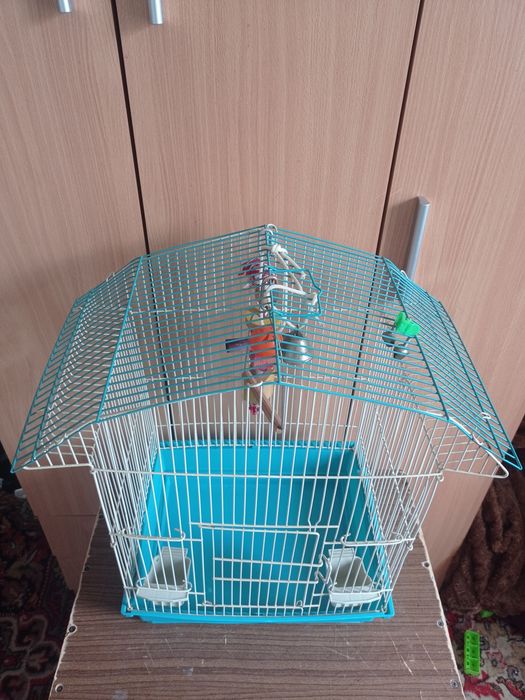 Клітка для птахів