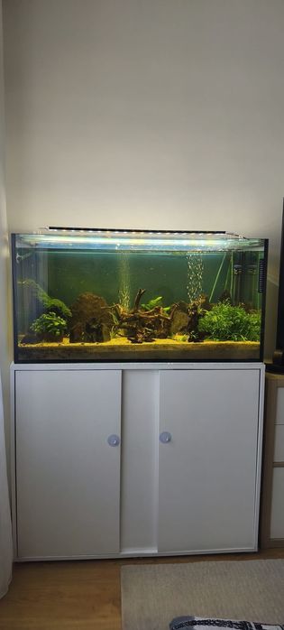 Aquário completo