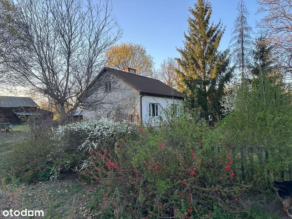 Siedlisko Warszawa Wawer Wiązowska 6634 m² OUZ - Widok 6