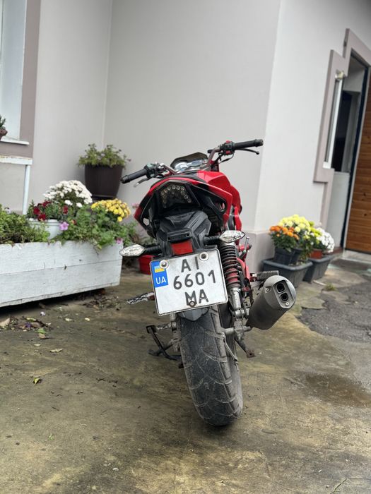 MotoLeader ML200 Shark