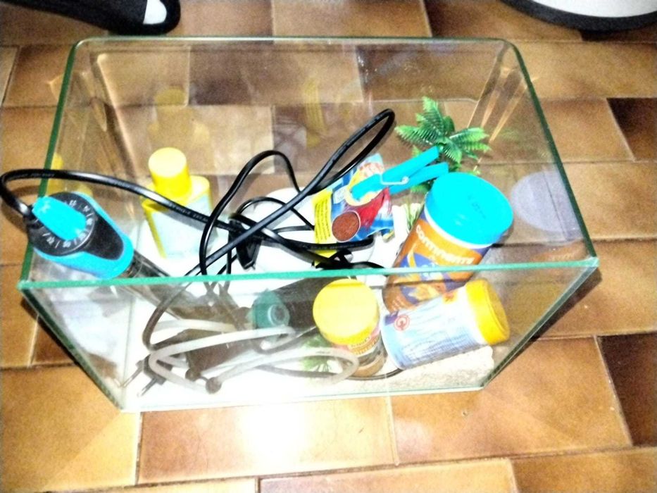 Aquário 10 litros completo com  filtro e aquecedor