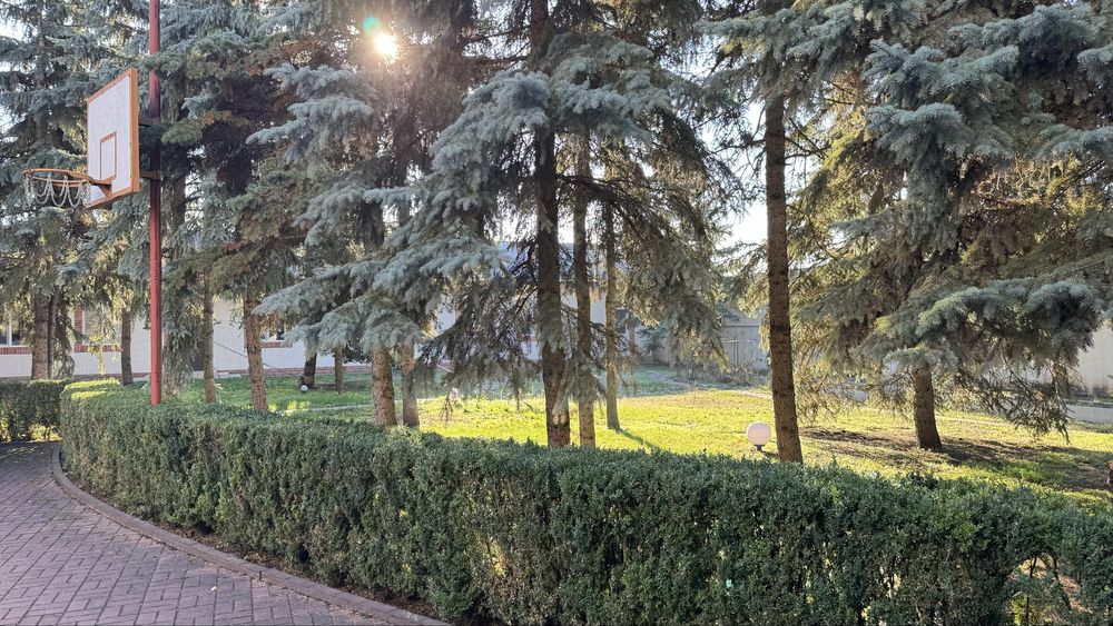 Оренда закритого комплексу та будинку с. Новосілки Вишгородського р-н