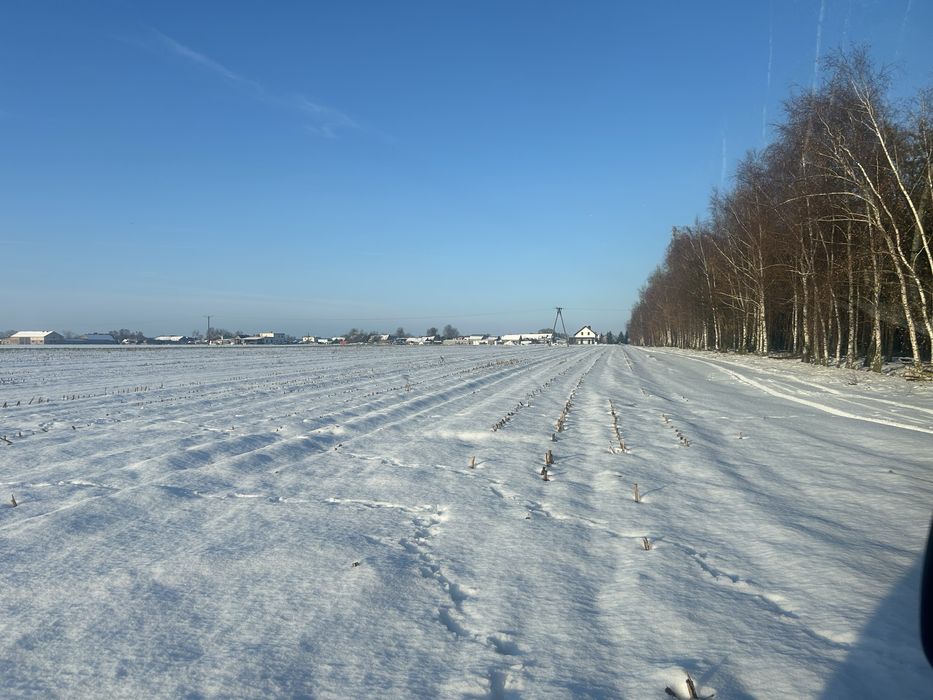 Dzialka budowlana 3000m2