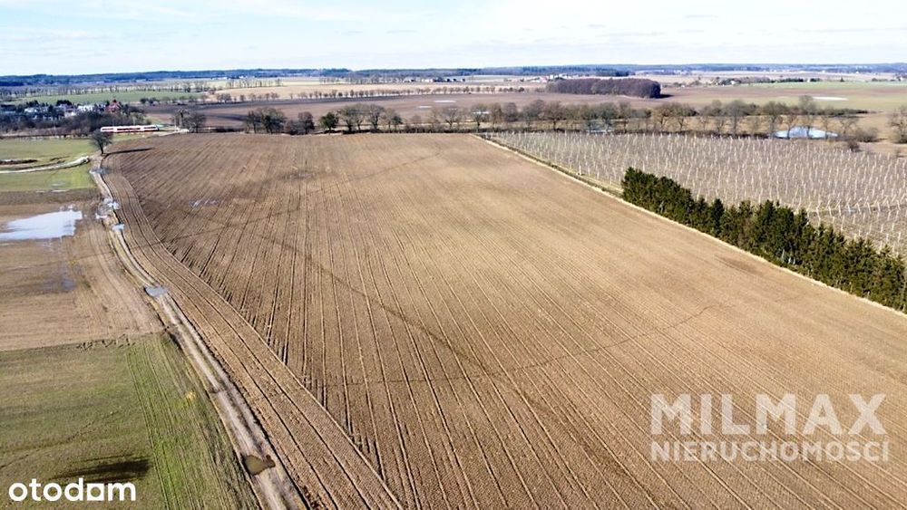 Rola - 7,83 ha - Trojanowo