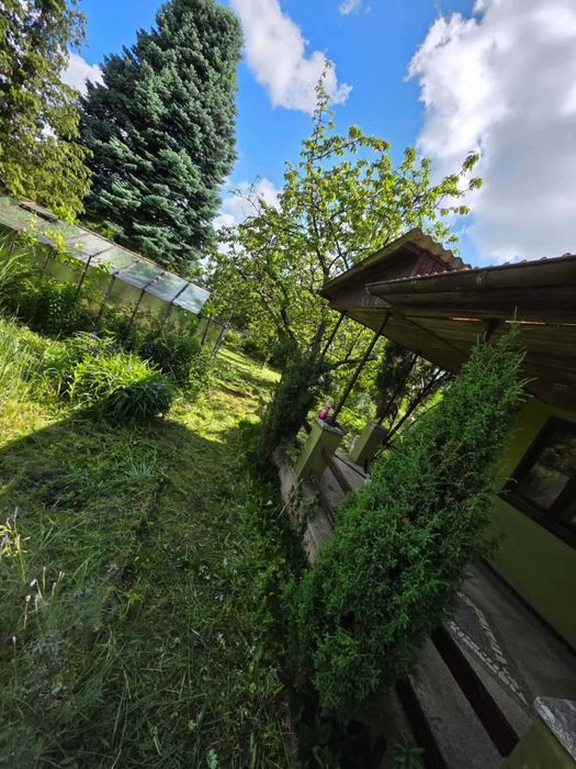 Działka rekreacyjna ROD ok. 500 m² z domkiem i tarasem - Widok 5