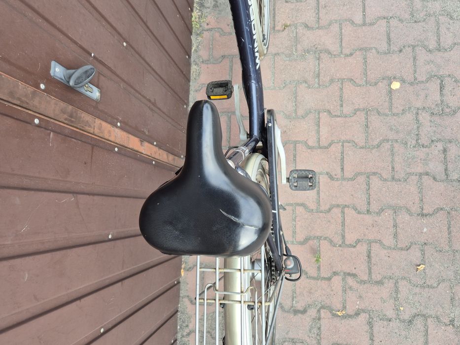 Rower damka Winora 28