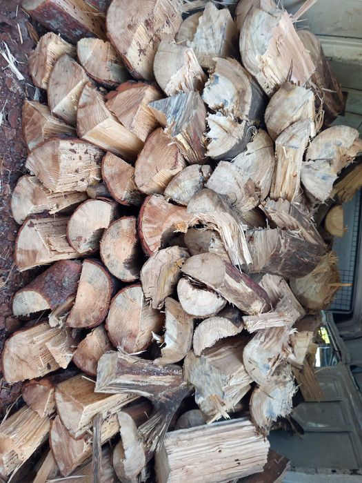 Vendo lenha seca de pinho 30€ M3
Carvalho 50€ M3