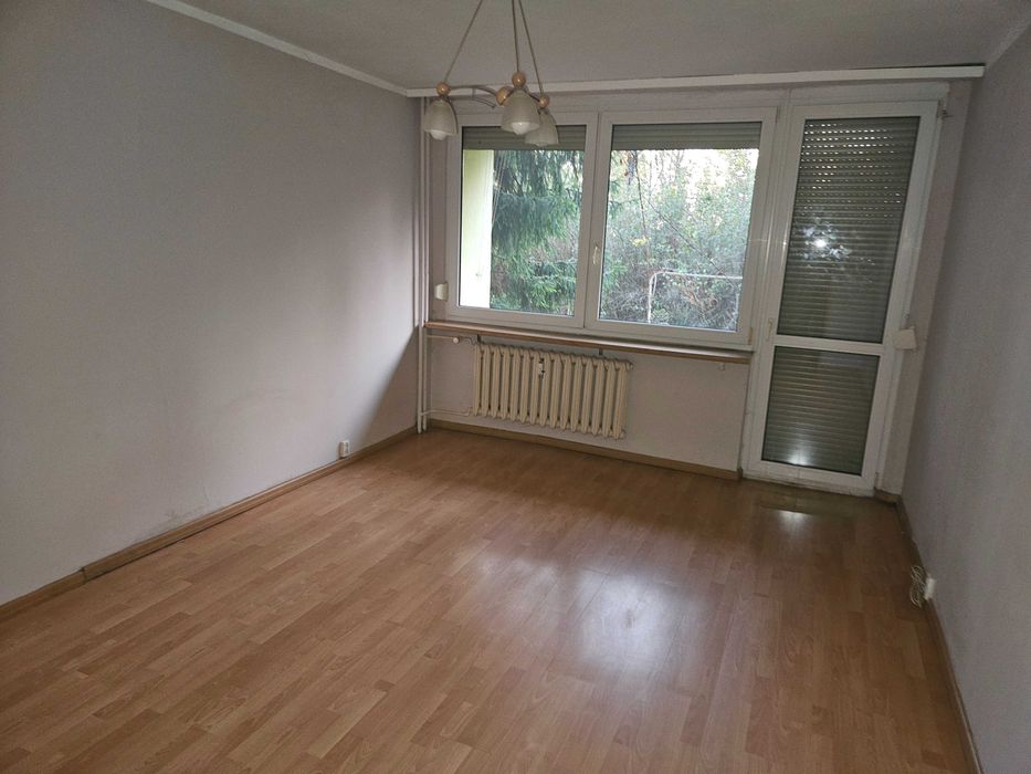 Zdjęcie 2