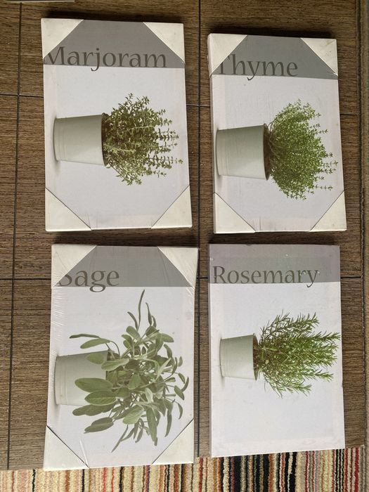 Telas loja Casa sao 4 uma esta aberta