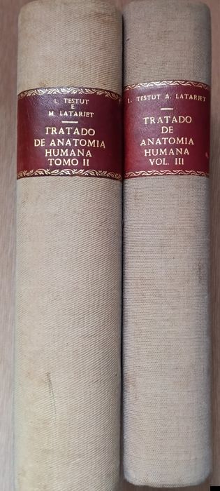 Tratado de Anatomia Humana 2 Tomos