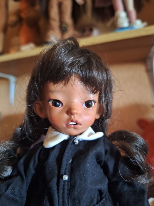Куклы  BJD 1/6 и Blyth .