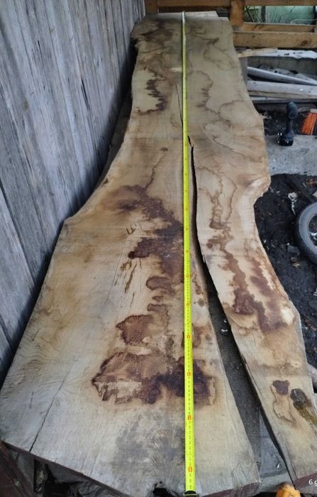 Brusy dębowe monolity suche do zywicy forszty