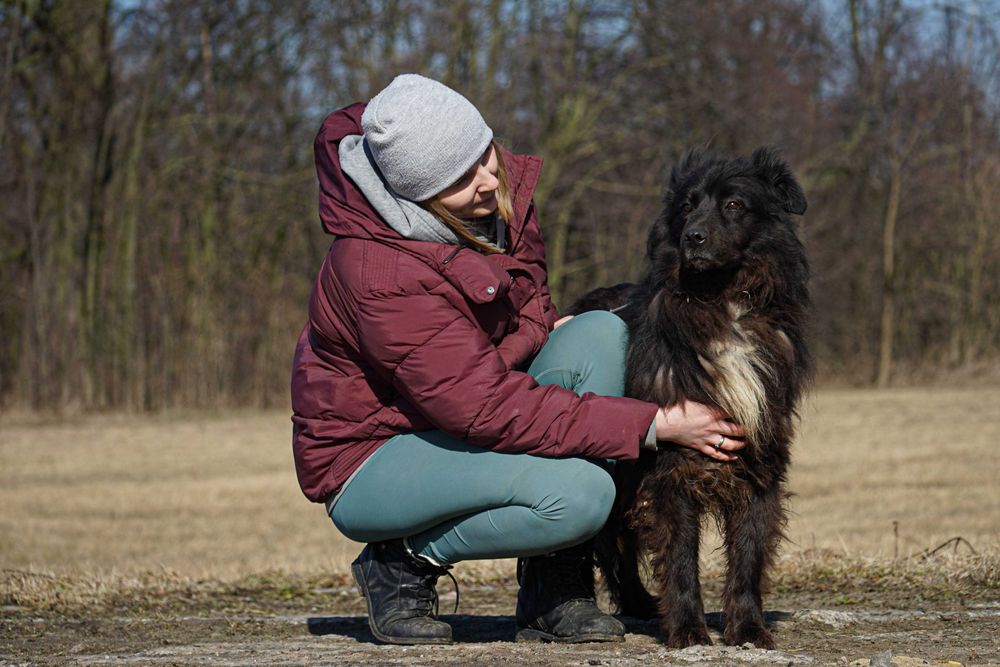 WANDA - przepiękna długowłosa sunia