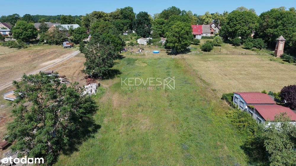 Działki pod budowę lub inwestycję | 2185 m² oraz 2765 m² | WZ | ŚLIWIN - Widok 2