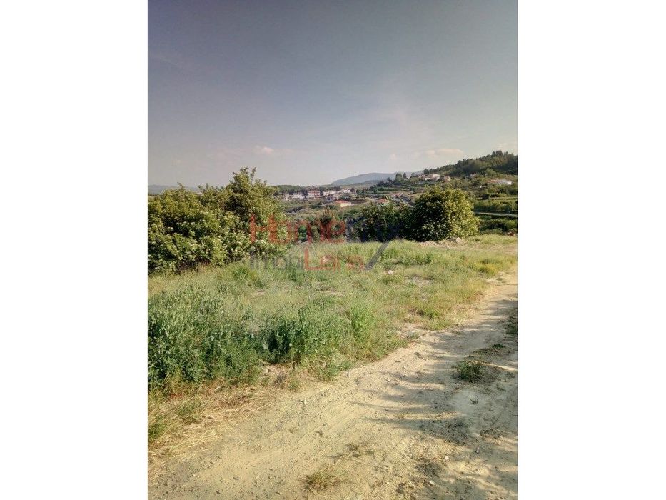 Urban Plot