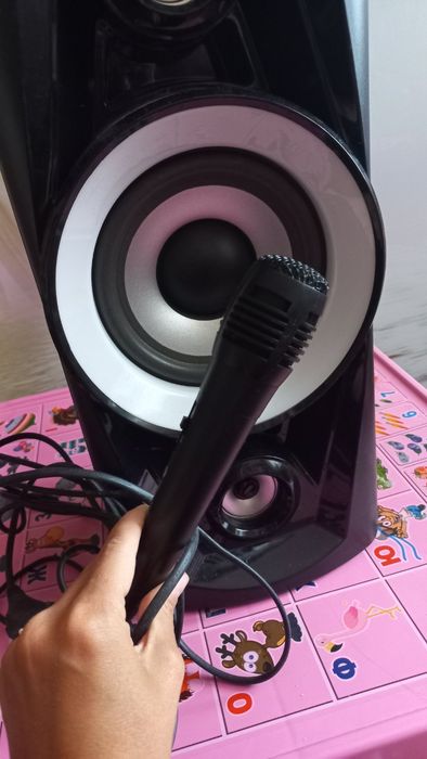 Музична колонка з мікрофоном