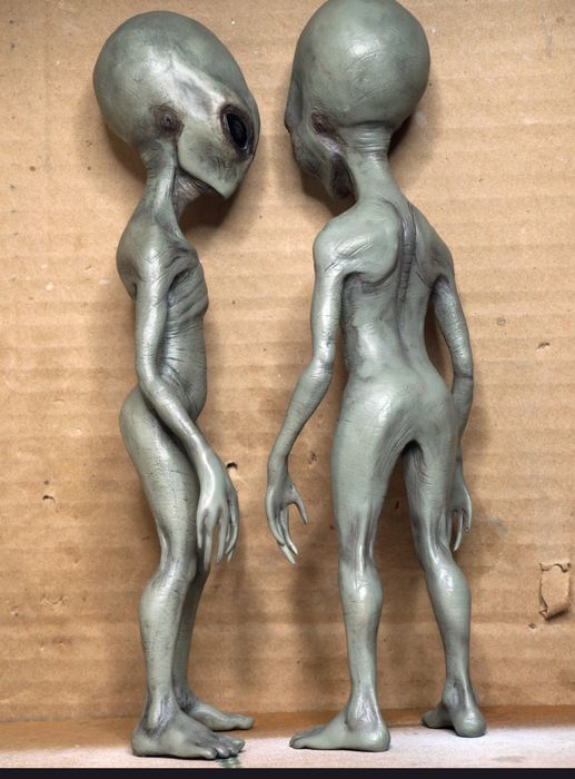 Figura Extraterrestre Grey Premium