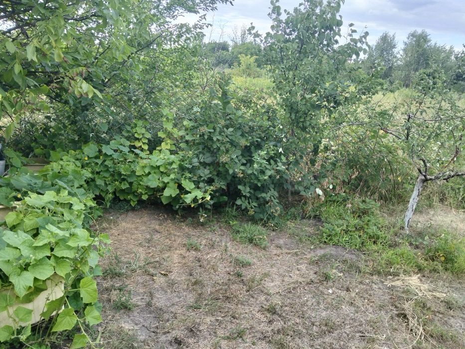 Продам дачу в сообществе Аист возле Богуслава