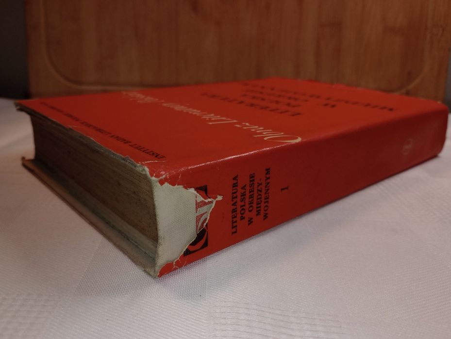 Literatura polska w okresie międzywojennym. T.1.