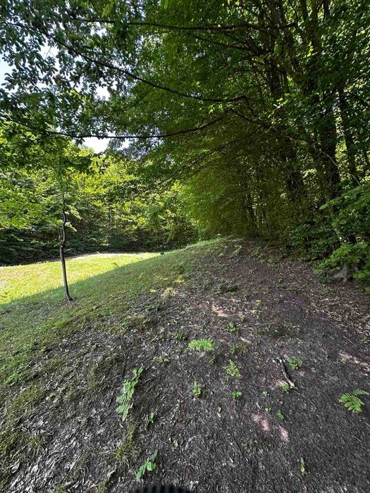 Продається старий будинок з великою земельною ділянкою