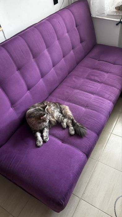 Wersalka - sofa ze skrzynią