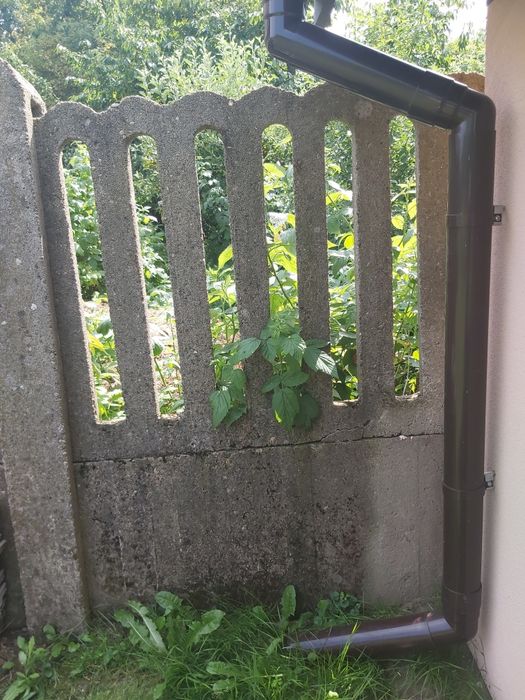 Oddam płot jako gruz