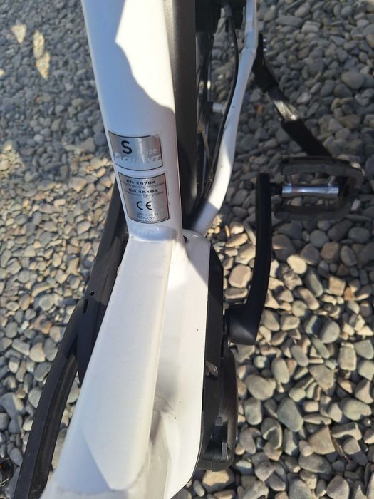 Rower giant prime Hybrid