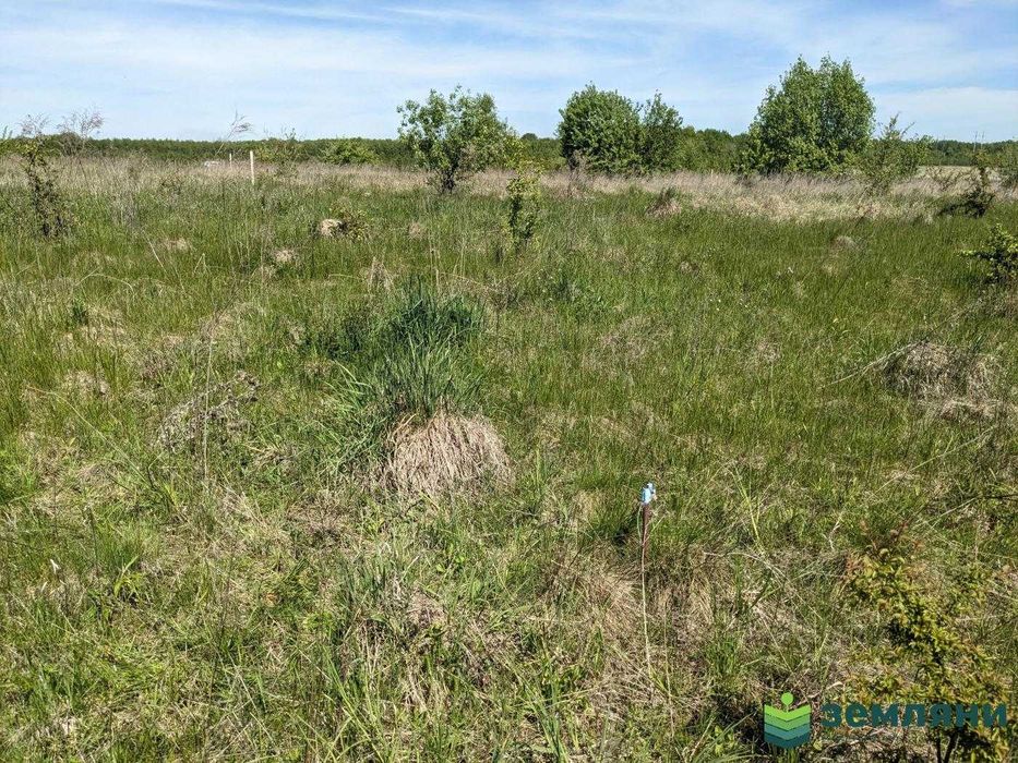 Продається земельна ділянка 12 соток під будівництво в с.Колодіївка (5)