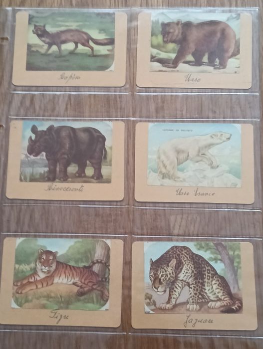Lote de 17 cromos antigos