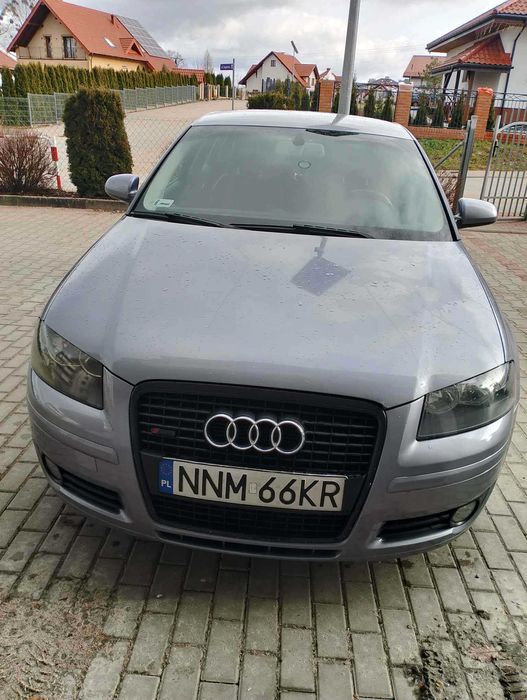 Audi A3 8P 1,9tdi
