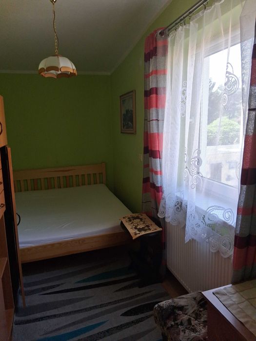Zdjęcie 5