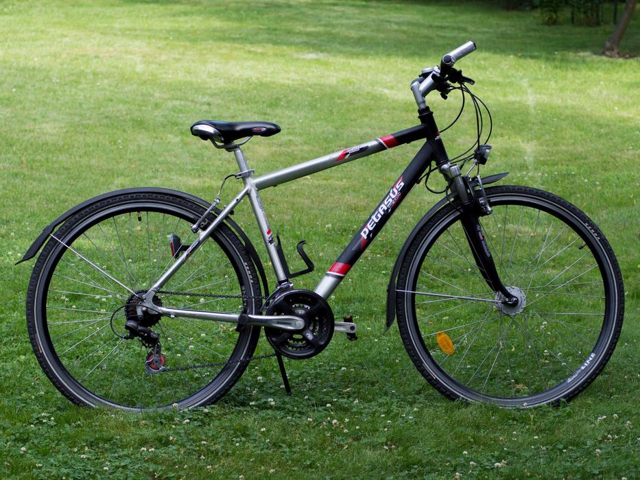 Rower Pegasus Avanti Sport koła 28''