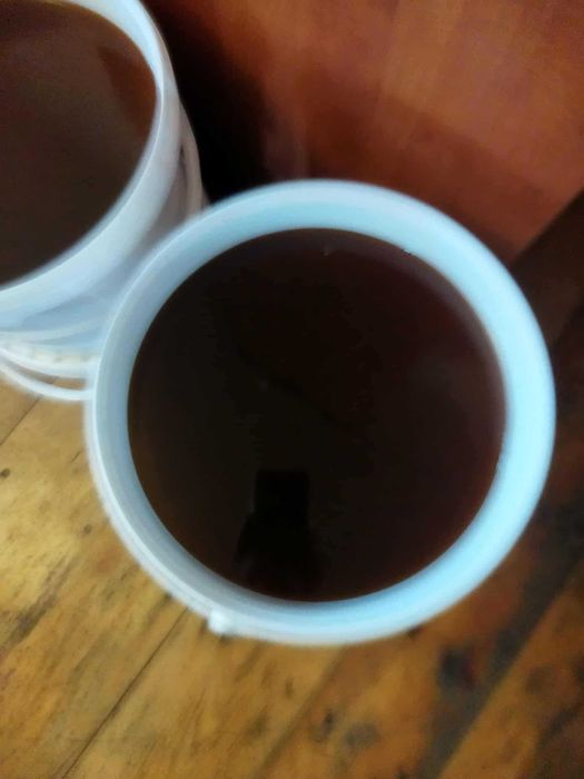 Miód spadziowy iglasty