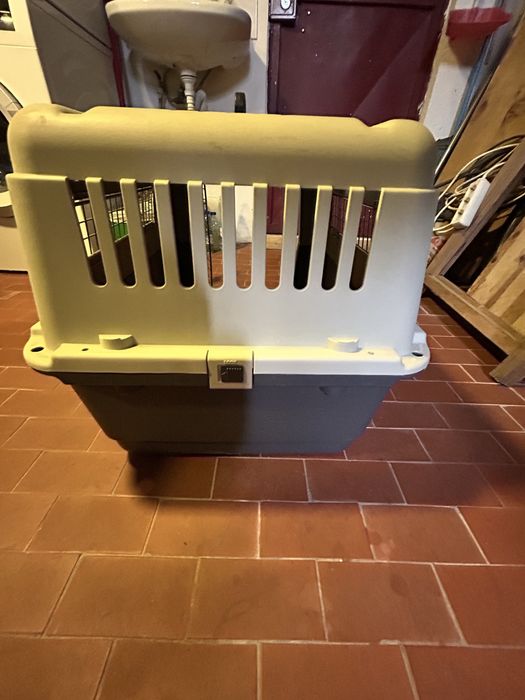 Tranportadora de animais