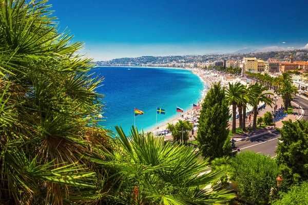 Бізнес NICE France
