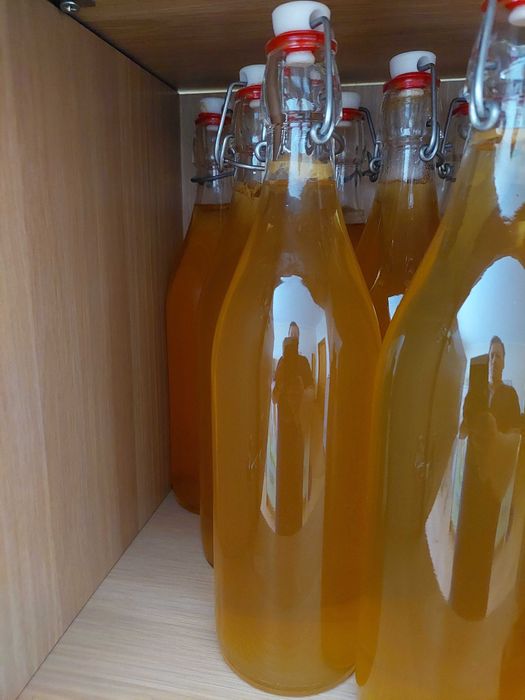 Kombucha engarrafada ou (Scoby + chá arranque)