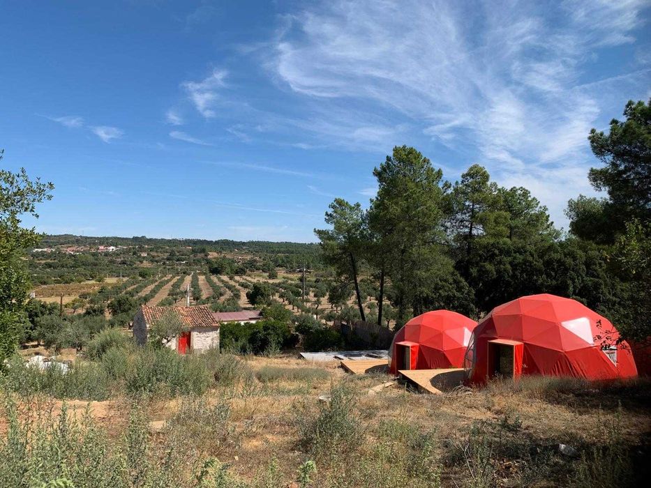 Estrutura geodésica - Dome