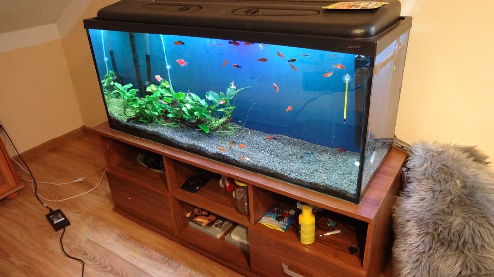 Akwarium 250 litrów+ szafka+akcesoria