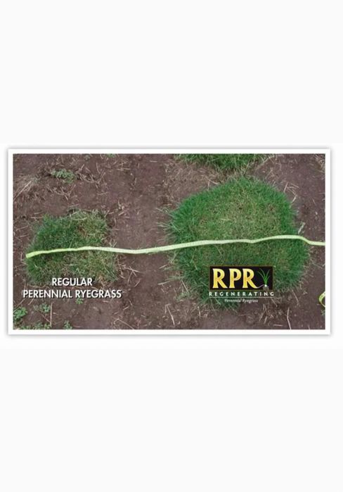 Trawa Barenbrug Bar Power RPR Play&Sport 5kg