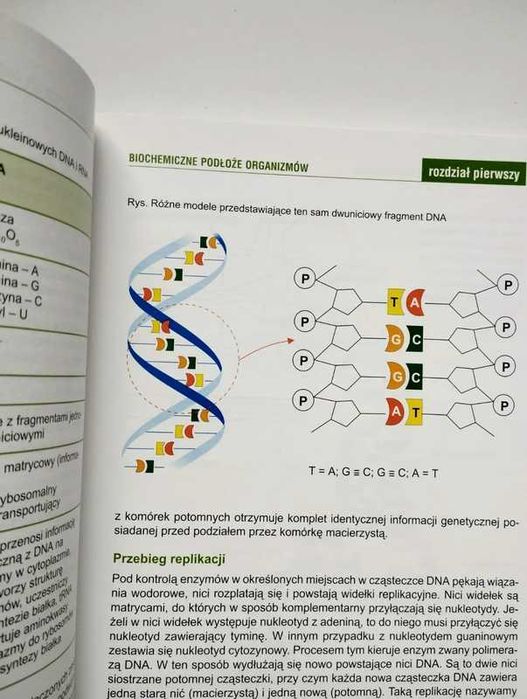 Biologia. Repetytorium dla maturzystów